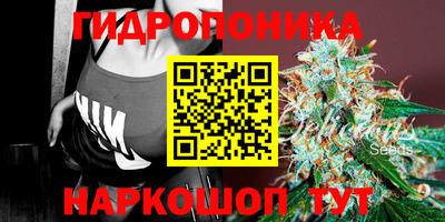 прущие грибы Бугуруслан